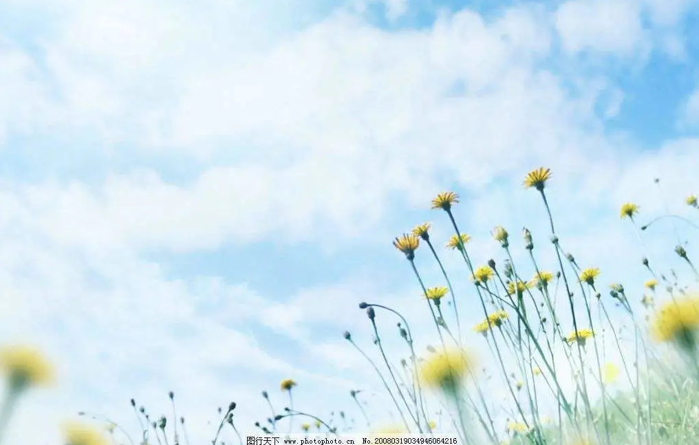 珍惜遇见，感恩知足(图4)