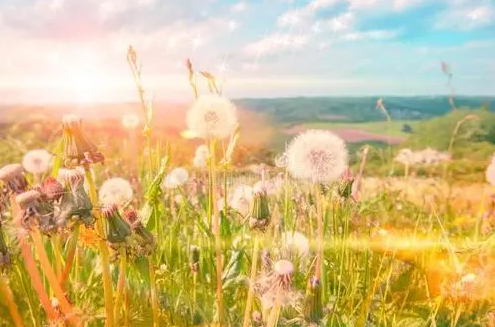 珍惜遇见，感恩知足(图3)