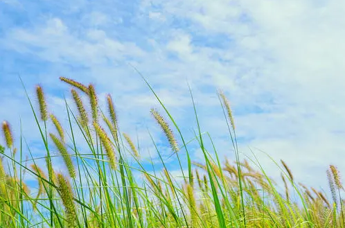 珍惜遇见，感恩知足(图2)